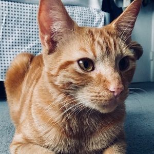 Meet your Posher, Jasmine